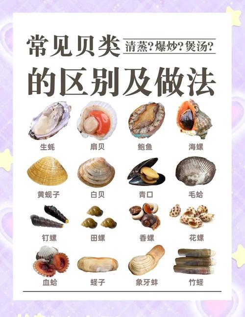 挑选海鲜的必备知识