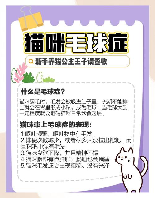 宠物毛发褪色怎么办？补充 Omega-3 脂肪酸