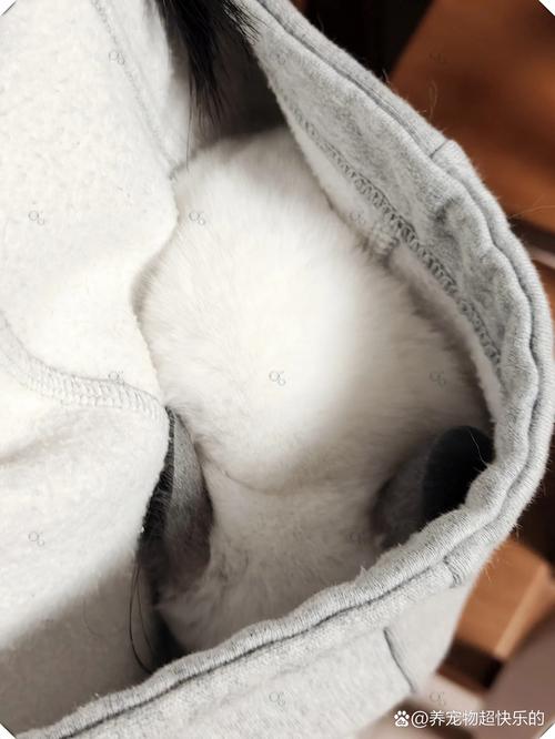 新衣服帽子内里起球怎么处理?