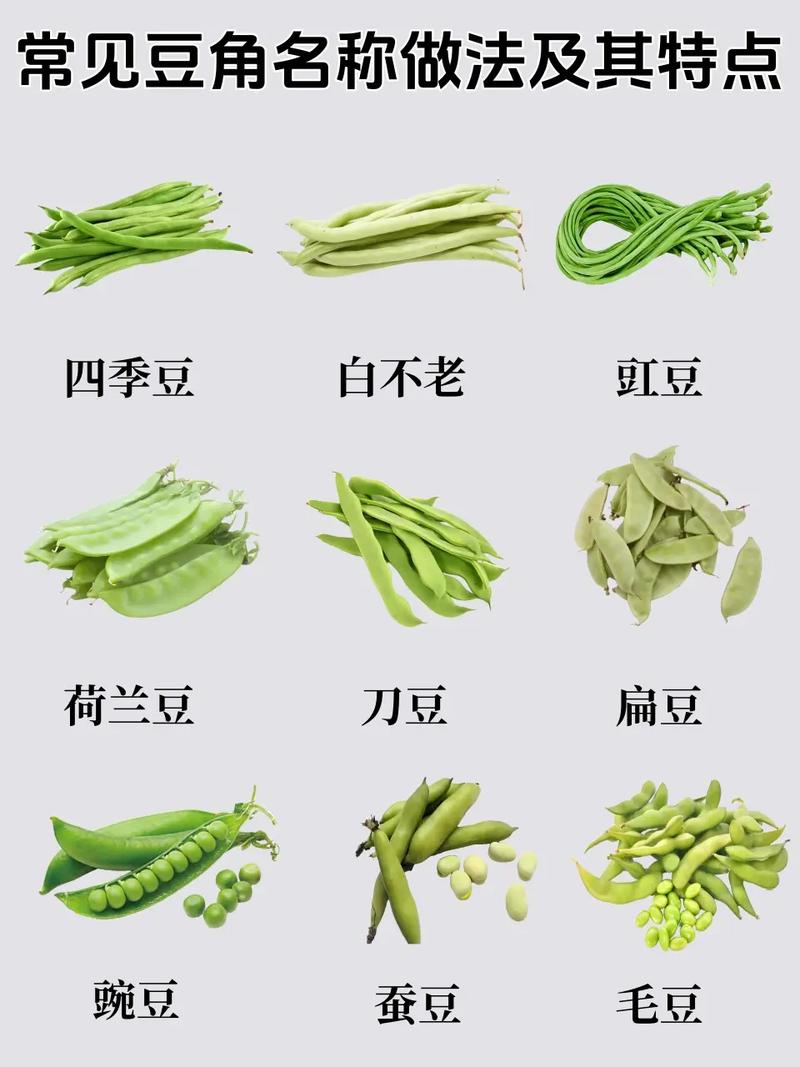 如何挑选新鲜的豆角段状?