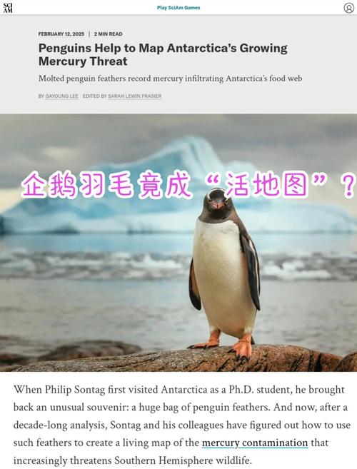 为什么企鹅会有羽毛密度?