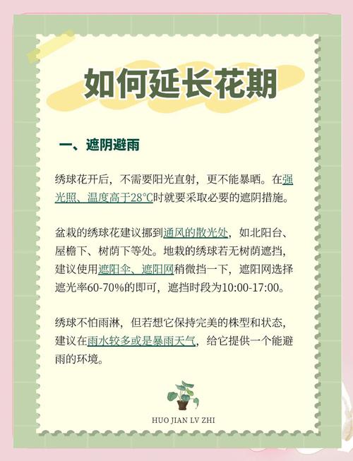 如何让鲜花花期更长？