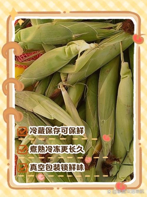 如何挑选新鲜的玉米棒？