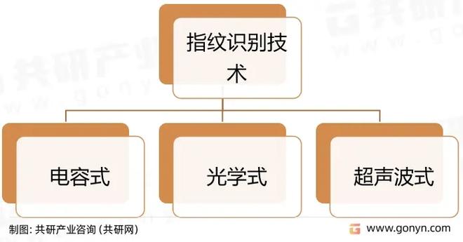 为什么人会有指纹识别技术市场现状?