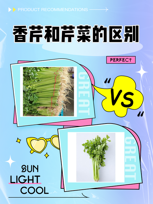 怎么挑选新鲜芹菜？叶片挺立度是关键