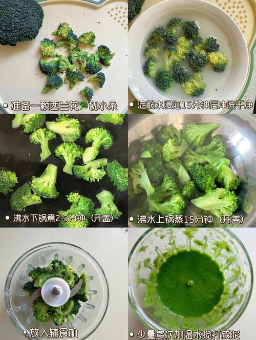 如何挑选新鲜的速冻西兰花碎泥？