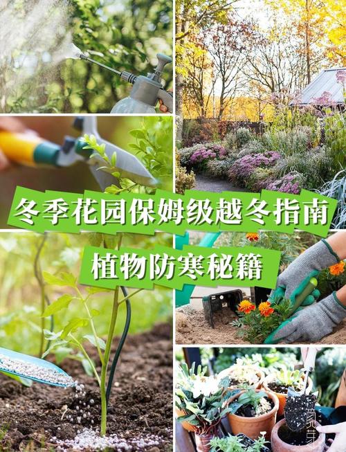 为什么冬天要给植物增加保温措施？