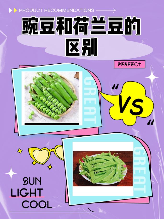 如何挑选新鲜的荷兰豆荚状食材？