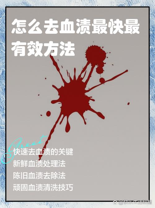 快速去除衣服上血渍的妙招