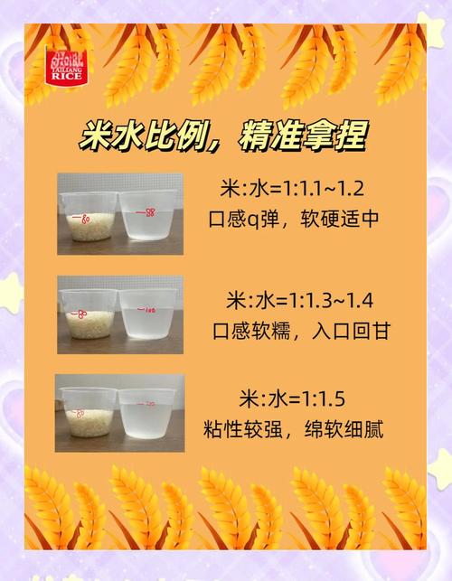 煮米饭时加什么更香软?试试这个秘诀
