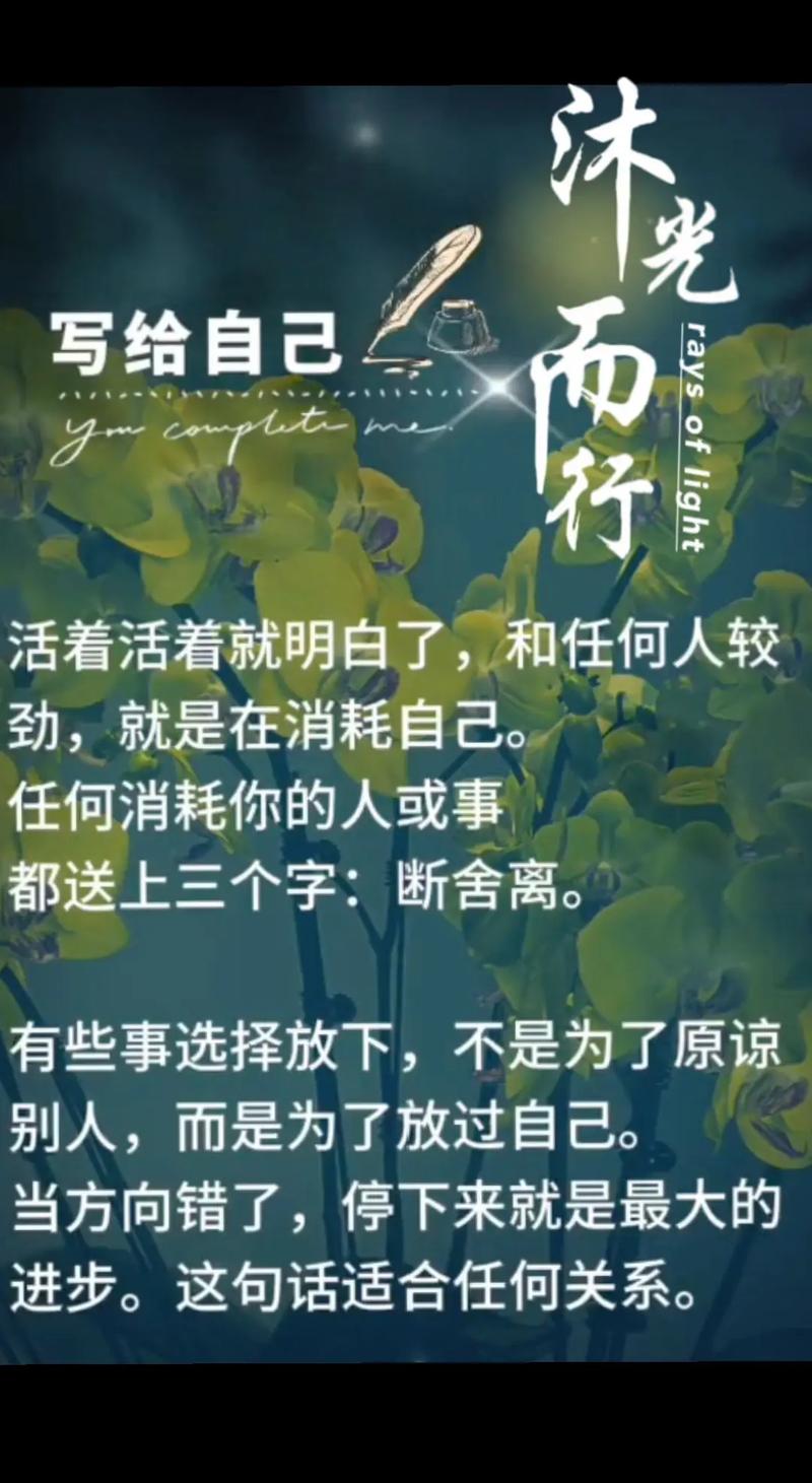 不必原谅,也能释怀