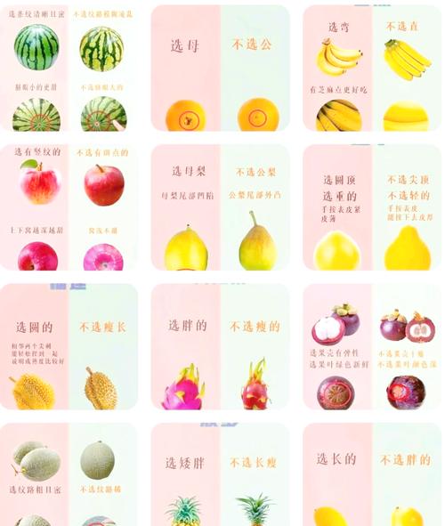 超市买水果必看:这些技巧挑选到新鲜水果
