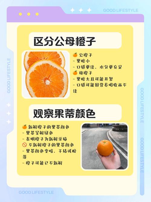 教你挑选新鲜橙子的实用方法