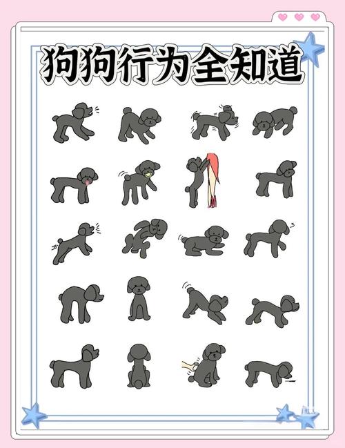 为什么狗会有摇尾巴含义?