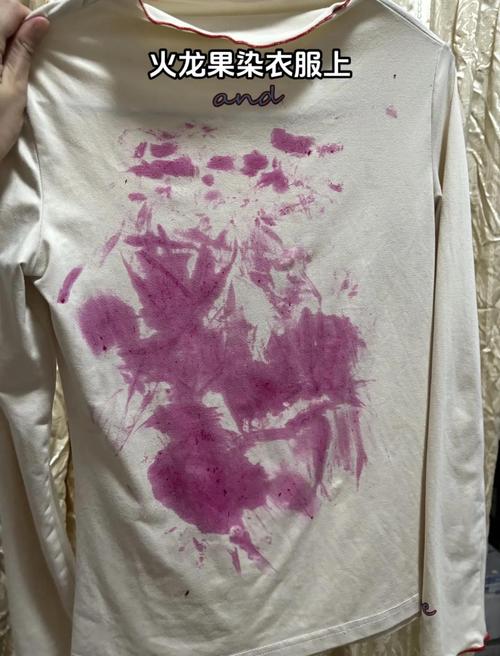 怎样去除衣服上的火龙果果酱残渍?
