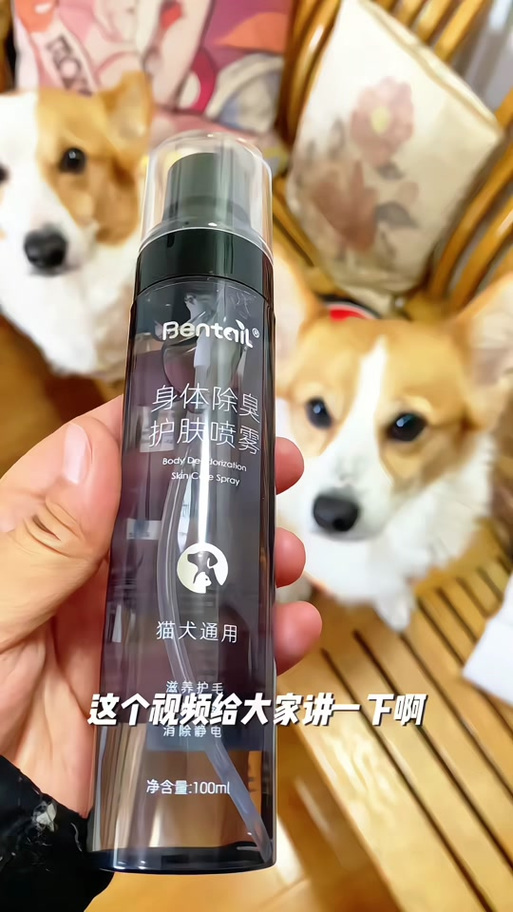 宠物毛发静电怎么办?加湿器 + 宠物毛发柔顺剂