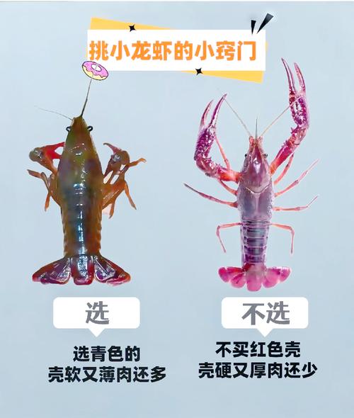 如何挑选新鲜的海鲜？