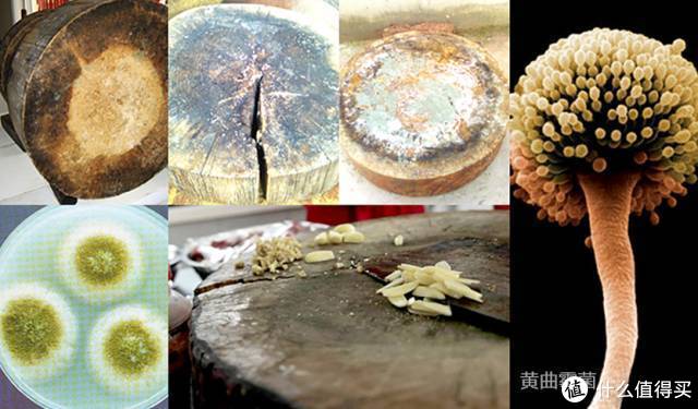 菜板发霉致癌?黄曲霉毒素检测与处理方案