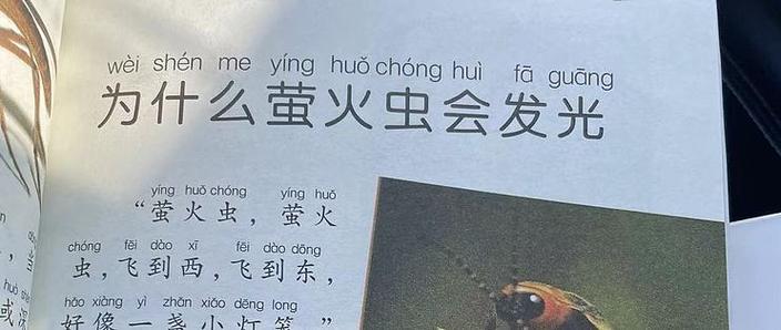 为什么萤火虫会发光?