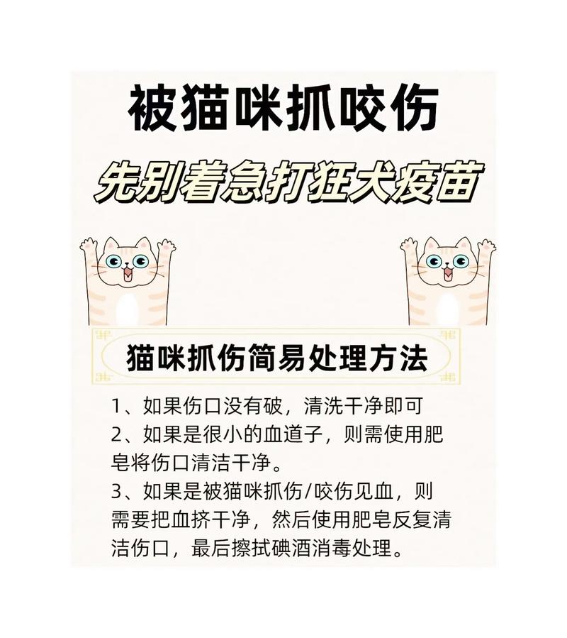 宠物抓挠皮肤怎么办?检查是否有寄生虫