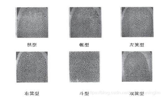 为什么人会有指纹识别系统?