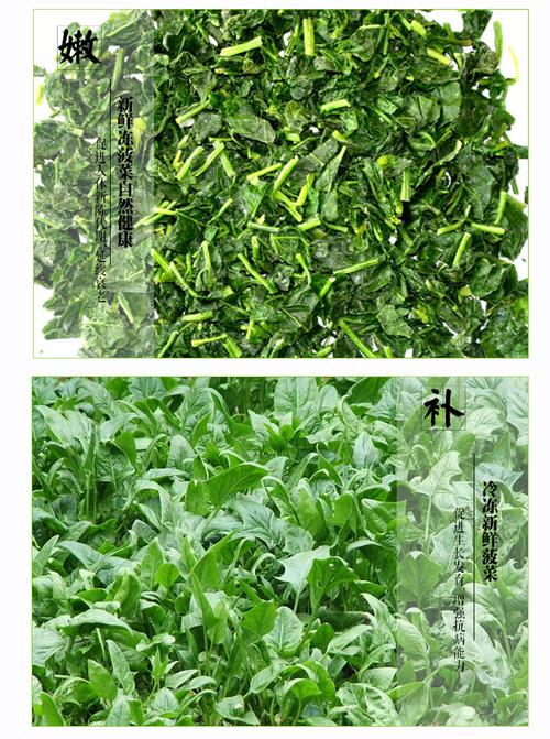如何挑选新鲜的速冻菠菜？