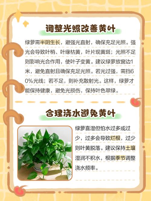 植物叶片发黄怎么办?检查浇水频率 + 补充肥料