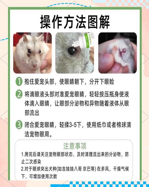 宠物眼睛浑浊怎么办?及时就医检查眼部疾病