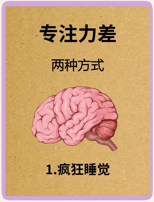 有哪些提高专注力的方法？