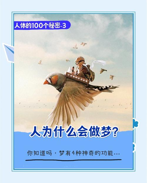 为什么人会做梦？