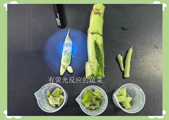 如何判断蔬菜是否残留农药?