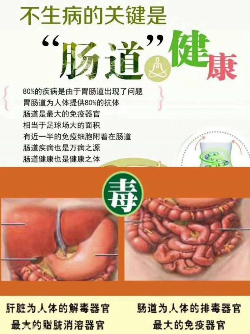 有哪些改善肠道健康的食物？