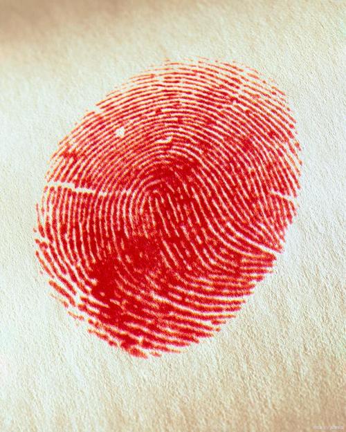 为什么人会有指纹识别技术核心组件？