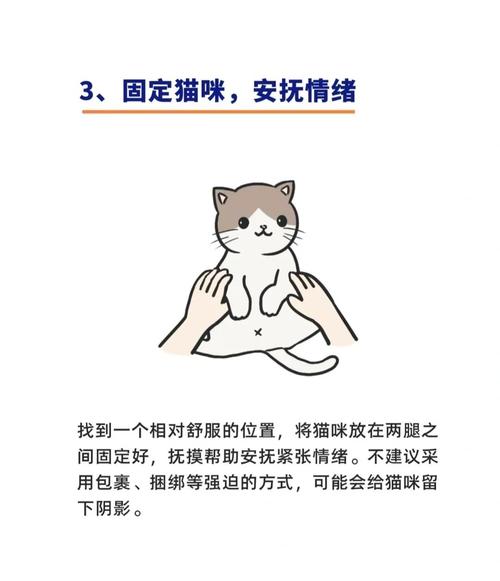 宠物指甲过长怎么办？专用指甲剪小心修剪