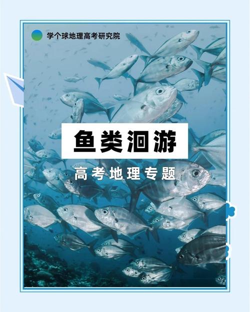 为什么鱼会有洄游行为?