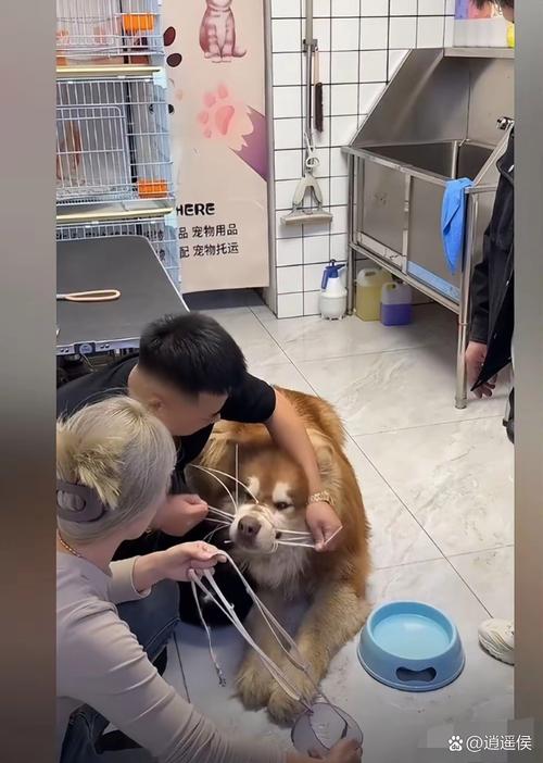 出差狗在高铁上洗澡的极限操作