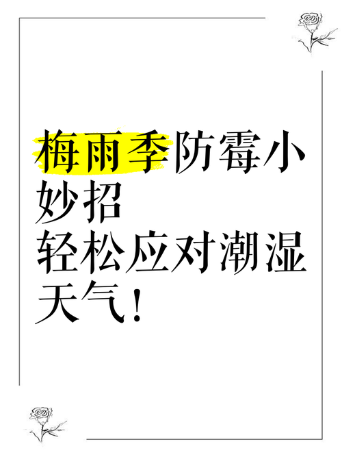 梅雨季节衣物发霉怎么办？除湿机 + 防霉片