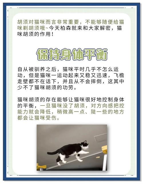 为什么猫会有胡须测量？