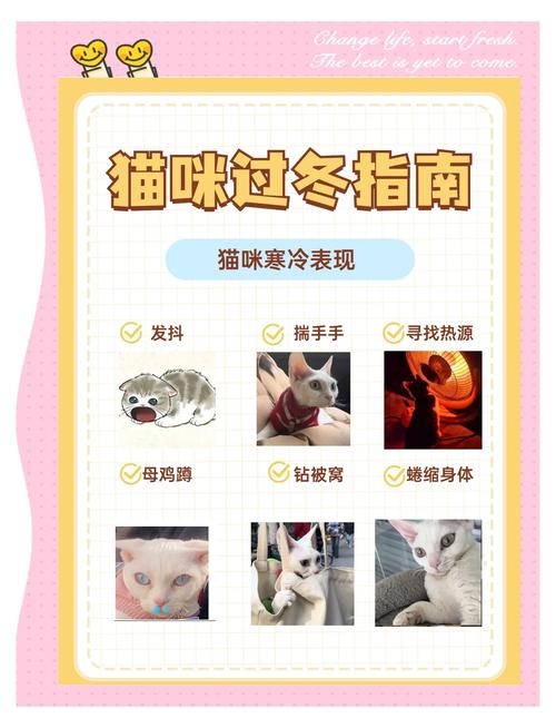 为什么冬天要给宠物保暖？