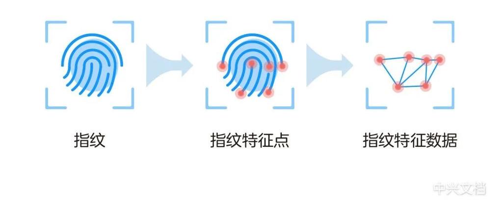 为什么人会有指纹识别技术发展?