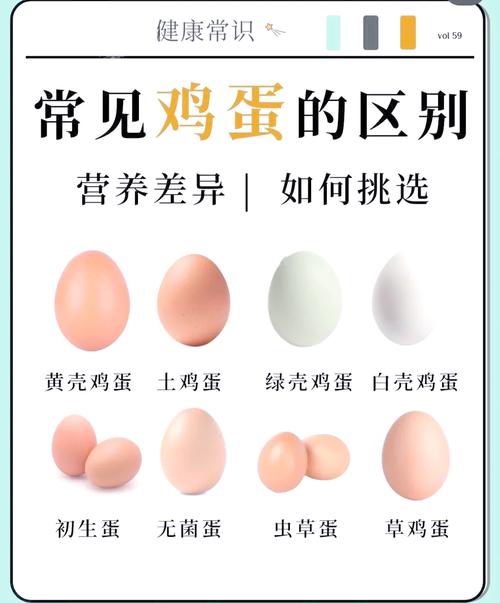 如何挑选新鲜的鸡蛋?3 个方法一看就会