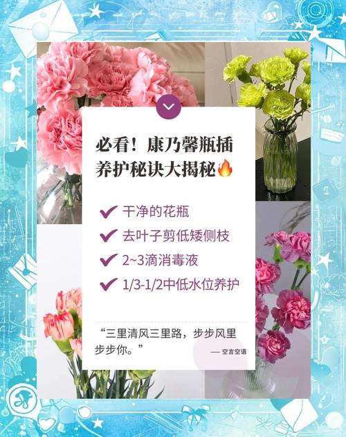 延长鲜花瓶插寿命的方法