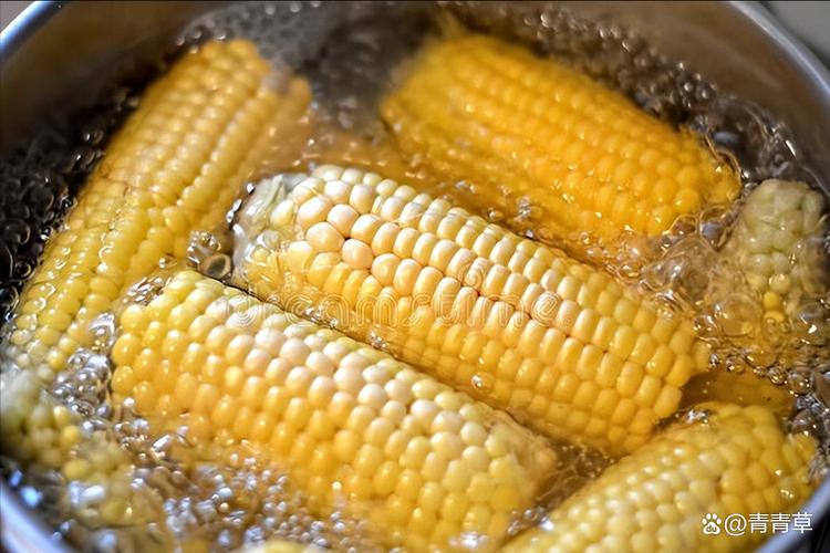 煮玉米带皮煮更甜?实验结果来了