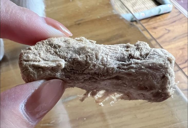 猫咪牙龈炎?喂食「冻干鸡脖」