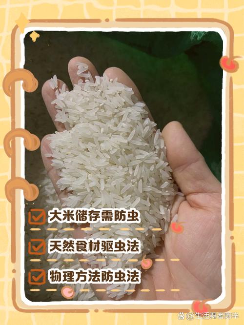 如何正确储存大米不生虫？记住这 3 个要点
