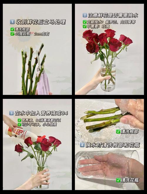 鲜花保鲜?剪斜口换水加糖!