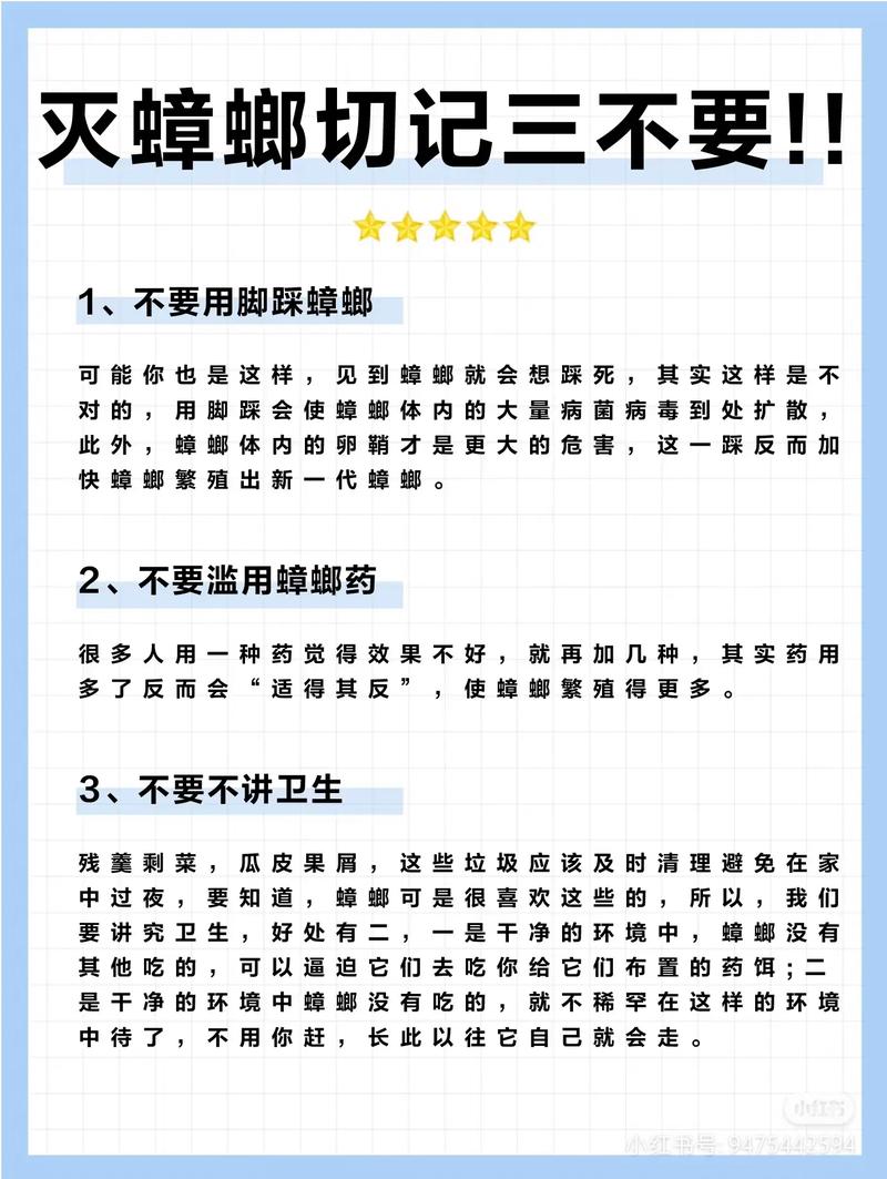 蟑螂防治的家庭方法