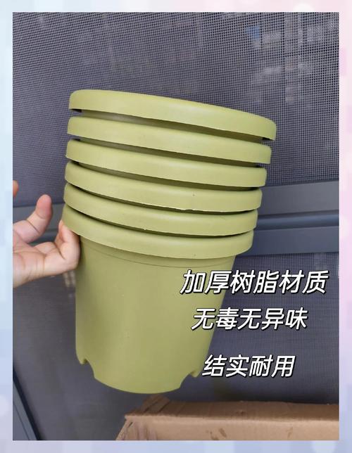 花盆透气？垫「核桃壳」