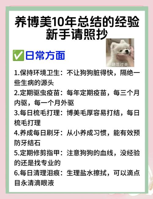宠物泪痕预防误区！错误护理方法解析