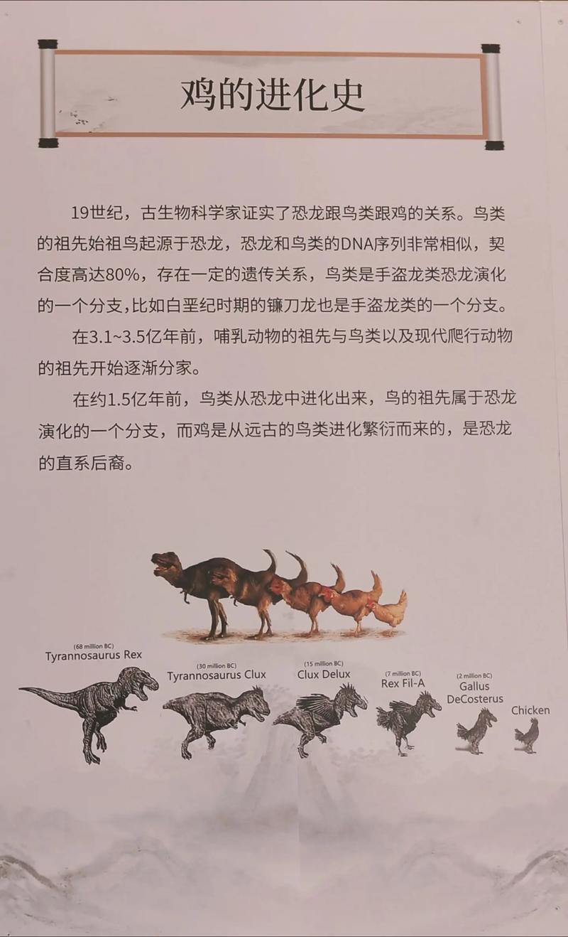 恐龙时代的昆虫演化